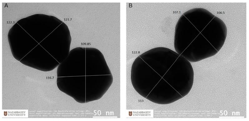 https://cdn.ncbi.nlm.nih.gov/pmc/blobs/3035/9921516/187ee93e8d57/sensors-23-01605-g003.jpg
