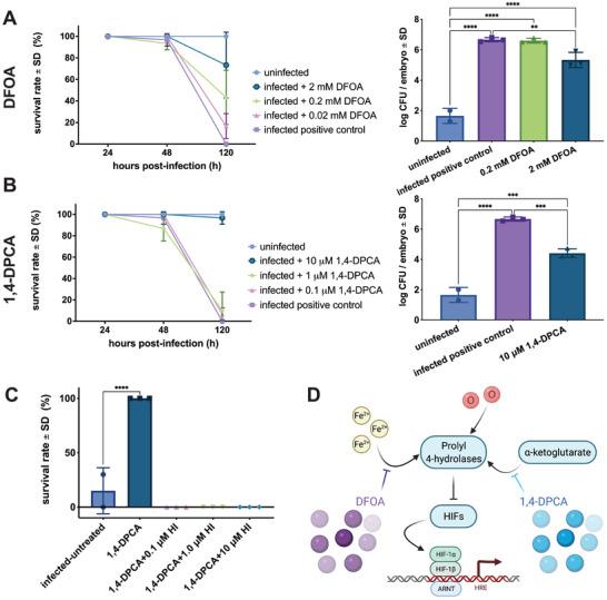 https://cdn.ncbi.nlm.nih.gov/pmc/blobs/3036/9475558/79ca9e2c4e56/ADVS-9-2200222-g001.jpg