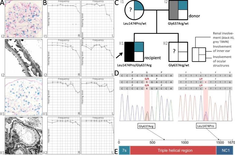 https://cdn.ncbi.nlm.nih.gov/pmc/blobs/3037/6721183/7a80bd57ae1b/12882_2019_1523_Fig1_HTML.jpg