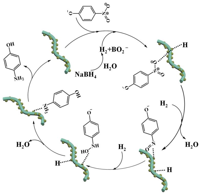 https://cdn.ncbi.nlm.nih.gov/pmc/blobs/3038/11357165/c4ecd70aeca9/molecules-29-03930-g009.jpg