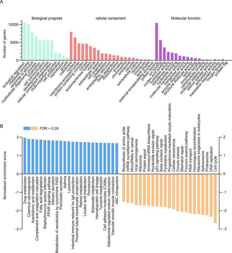 https://cdn.ncbi.nlm.nih.gov/pmc/blobs/3038/7886130/5392275d4c77/pone.0247020.g006.jpg