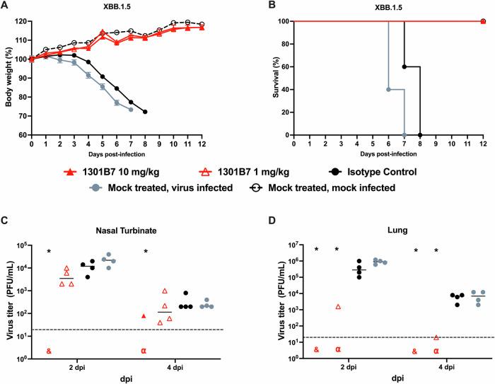 https://cdn.ncbi.nlm.nih.gov/pmc/blobs/3039/11721442/e213b5f7d644/44298_2024_63_Fig4_HTML.jpg