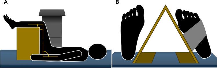 https://cdn.ncbi.nlm.nih.gov/pmc/blobs/3039/11732917/c84586ed2026/259_2024_6912_Fig1_HTML.jpg