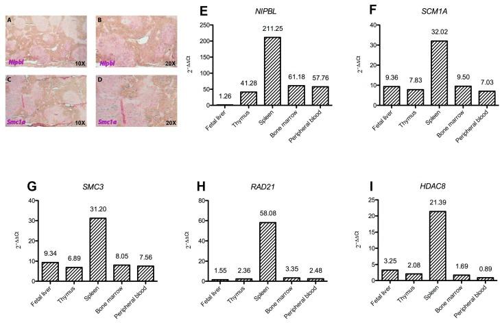https://cdn.ncbi.nlm.nih.gov/pmc/blobs/3039/5855660/b40090636f41/ijms-19-00438-g001.jpg