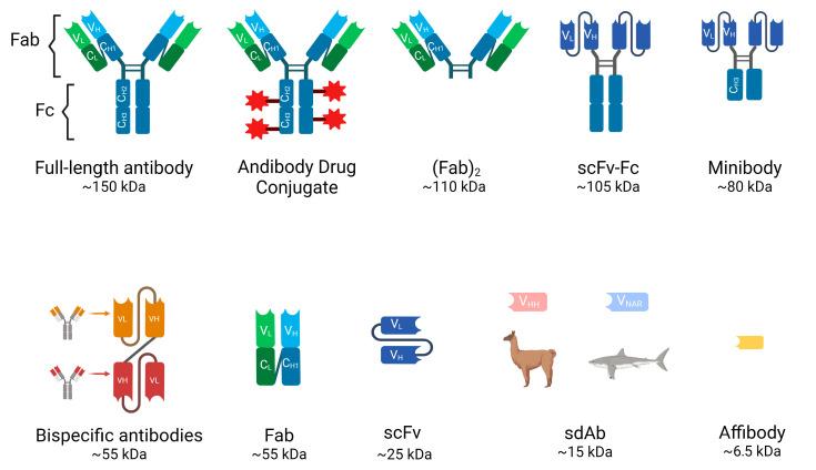 https://cdn.ncbi.nlm.nih.gov/pmc/blobs/303a/11352548/e95ce89d577f/cancers-16-02896-g001.jpg