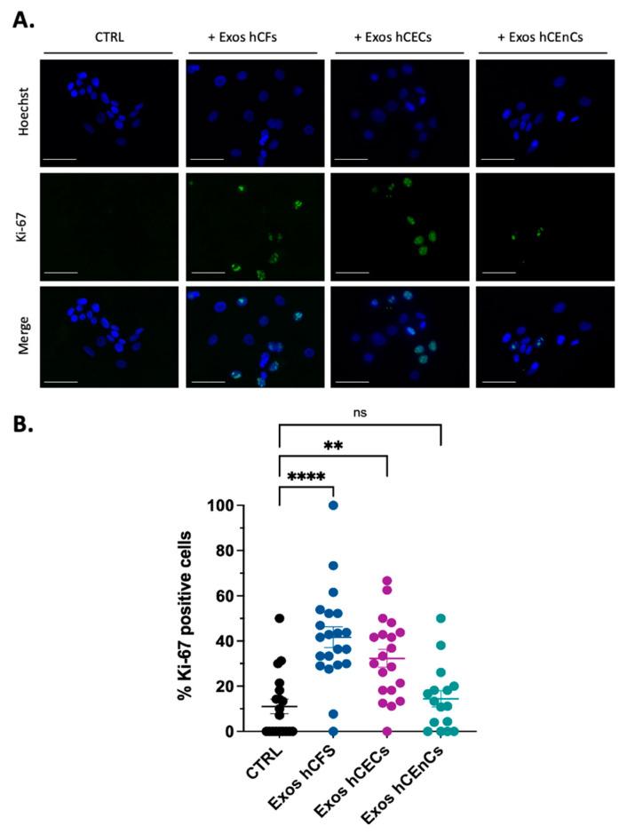 https://cdn.ncbi.nlm.nih.gov/pmc/blobs/303a/9602716/e5222b0d8ff7/ijms-23-12201-g003.jpg