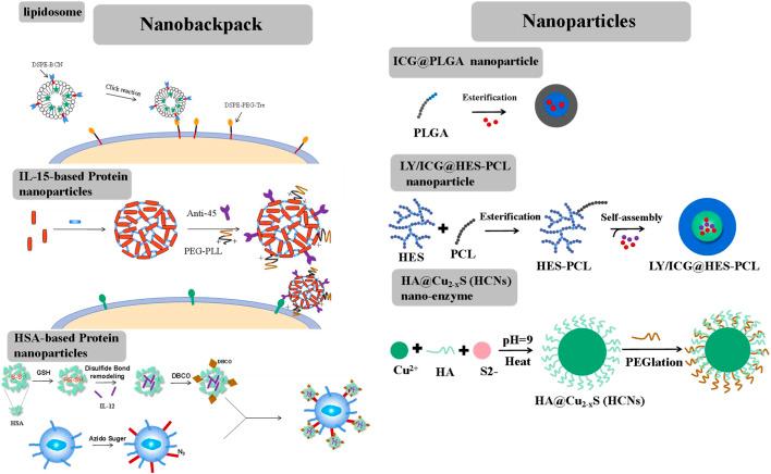 https://cdn.ncbi.nlm.nih.gov/pmc/blobs/303c/10835794/9d8abe7f5506/fbioe-11-1320807-g002.jpg