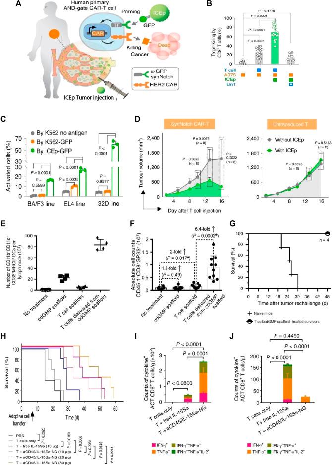 https://cdn.ncbi.nlm.nih.gov/pmc/blobs/303c/10835794/c26f51cfb604/fbioe-11-1320807-g005.jpg
