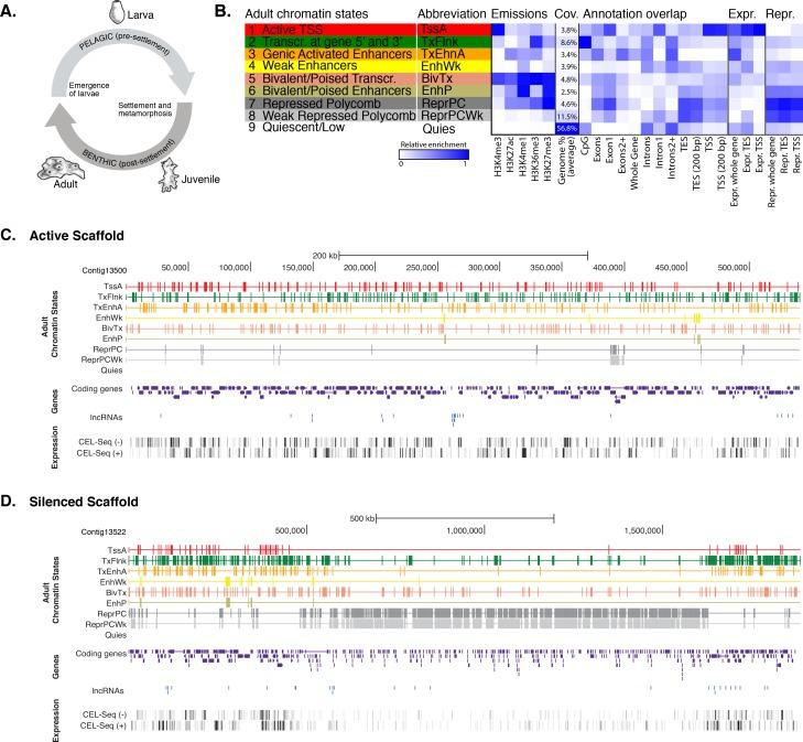 https://cdn.ncbi.nlm.nih.gov/pmc/blobs/303c/5429095/306a41ce47b0/elife-22194-fig1.jpg