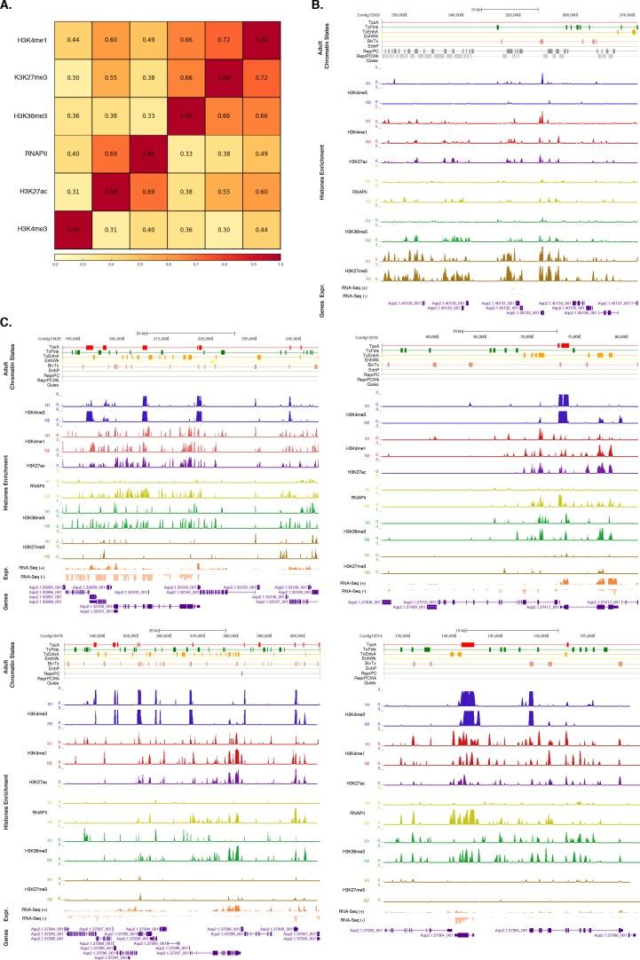 https://cdn.ncbi.nlm.nih.gov/pmc/blobs/303c/5429095/4b039a7efeb7/elife-22194-fig1-figsupp2.jpg