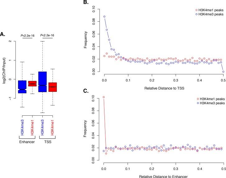 https://cdn.ncbi.nlm.nih.gov/pmc/blobs/303c/5429095/8800fabea0da/elife-22194-fig6-figsupp1.jpg