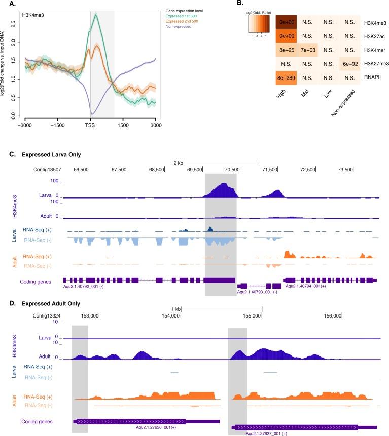 https://cdn.ncbi.nlm.nih.gov/pmc/blobs/303c/5429095/8e7f0a90c6eb/elife-22194-fig2-figsupp2.jpg