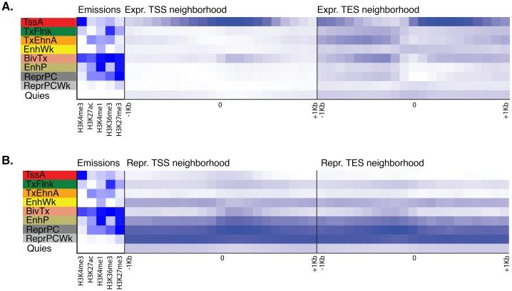 https://cdn.ncbi.nlm.nih.gov/pmc/blobs/303c/5429095/8f80897994c7/elife-22194-fig1-figsupp3.jpg