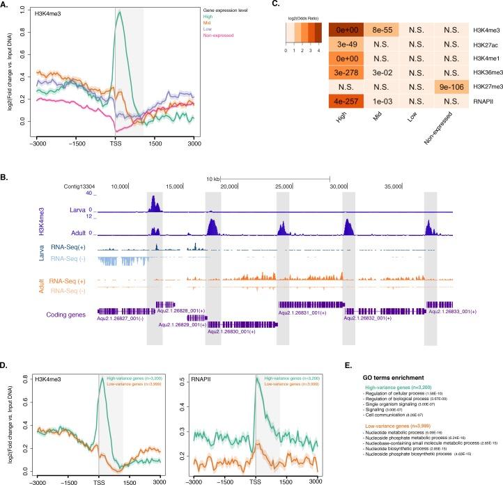 https://cdn.ncbi.nlm.nih.gov/pmc/blobs/303c/5429095/a239237681dc/elife-22194-fig2.jpg