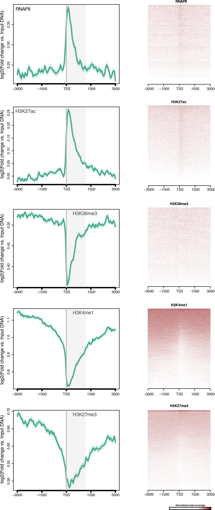 https://cdn.ncbi.nlm.nih.gov/pmc/blobs/303c/5429095/a57bf23abd04/elife-22194-fig2-figsupp1.jpg