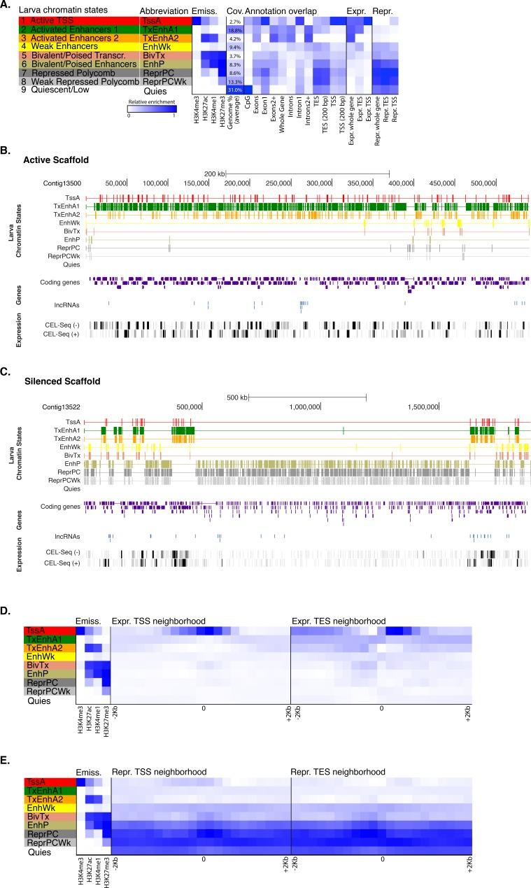 https://cdn.ncbi.nlm.nih.gov/pmc/blobs/303c/5429095/c521687f02c5/elife-22194-fig1-figsupp4.jpg