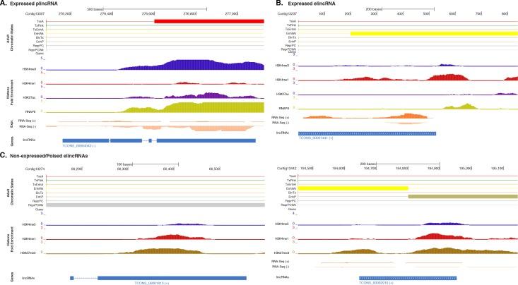 https://cdn.ncbi.nlm.nih.gov/pmc/blobs/303c/5429095/f783c6600611/elife-22194-fig5-figsupp1.jpg