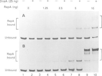 https://cdn.ncbi.nlm.nih.gov/pmc/blobs/303f/413885/13fe769f32a6/emboj00084-0095-b.jpg