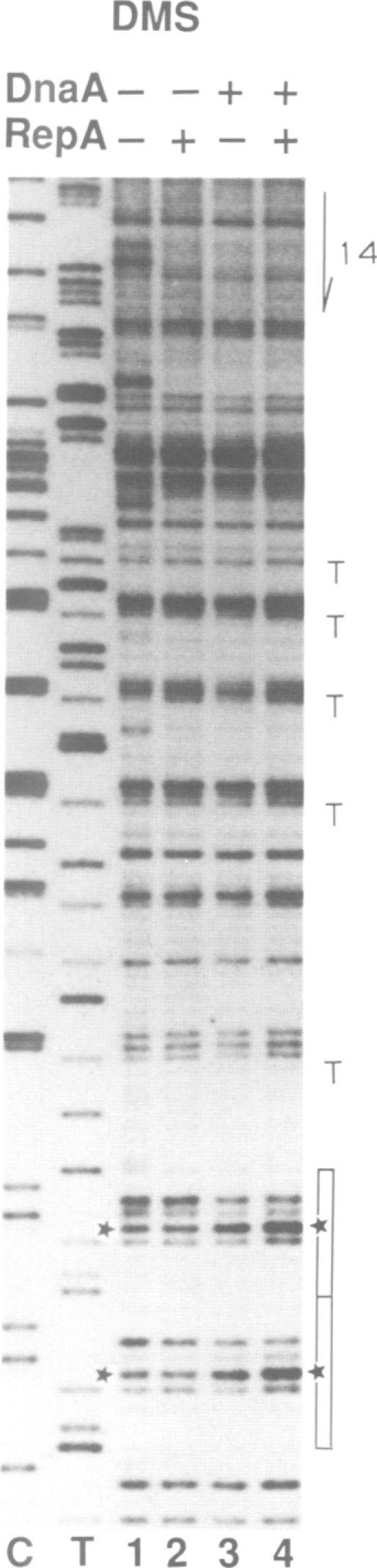 https://cdn.ncbi.nlm.nih.gov/pmc/blobs/303f/413885/76eeb9792572/emboj00084-0095-a.jpg
