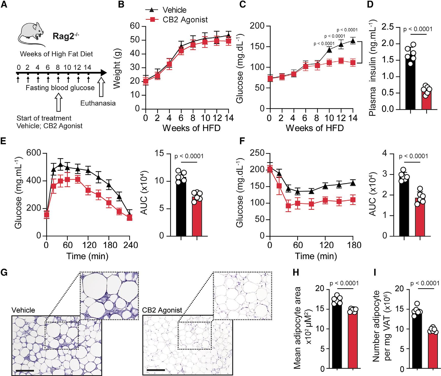 https://cdn.ncbi.nlm.nih.gov/pmc/blobs/3040/11317174/dff55d172312/nihms-2011883-f0005.jpg