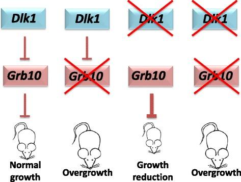 https://cdn.ncbi.nlm.nih.gov/pmc/blobs/3040/4280702/3f432630716c/12915_2014_99_Fig10_HTML.jpg