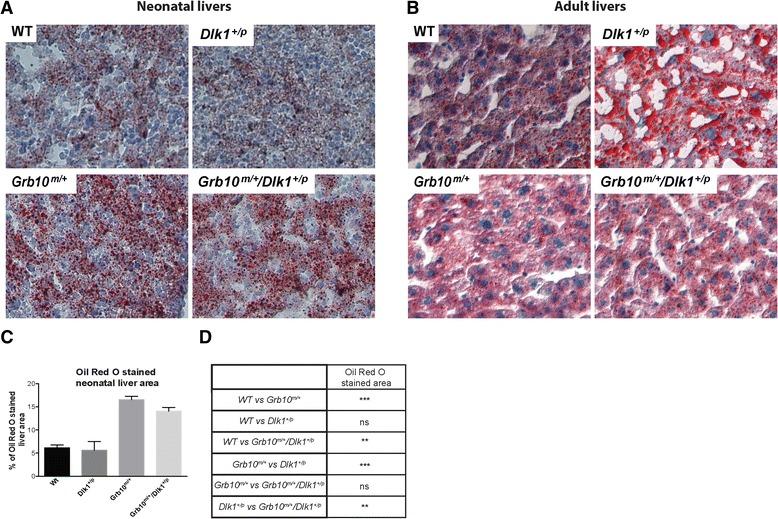 https://cdn.ncbi.nlm.nih.gov/pmc/blobs/3040/4280702/96cc51b75062/12915_2014_99_Fig6_HTML.jpg