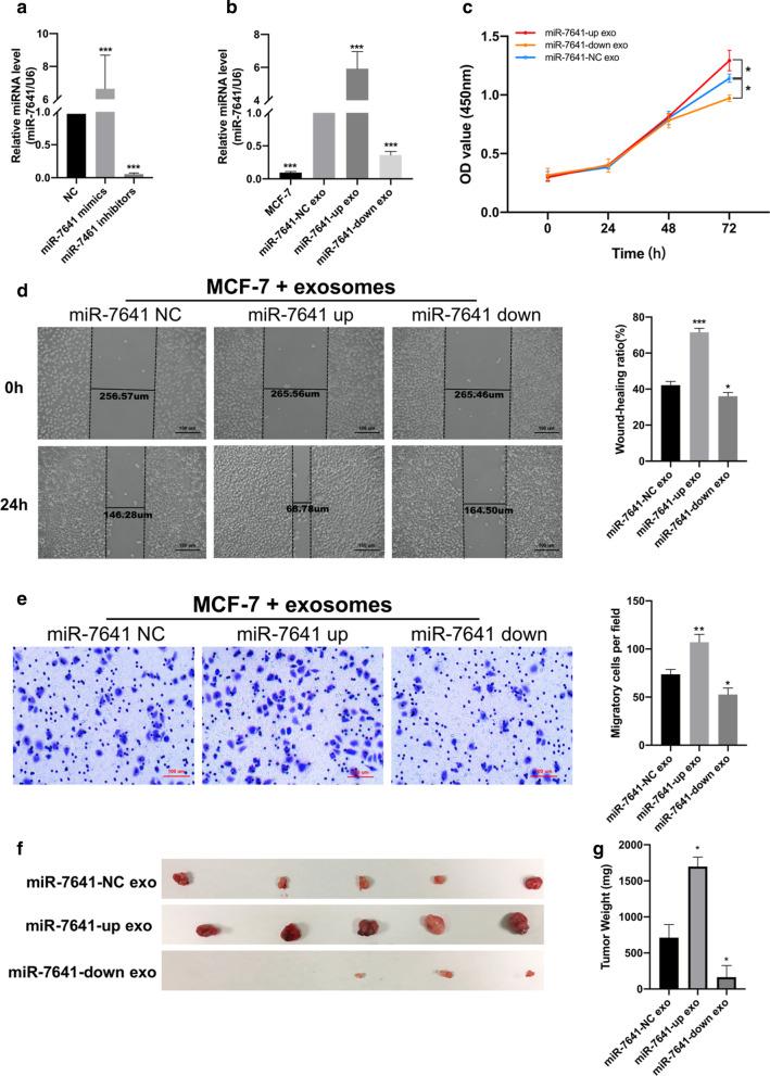 https://cdn.ncbi.nlm.nih.gov/pmc/blobs/3043/7898766/5b925187ee34/12964_2020_700_Fig4_HTML.jpg