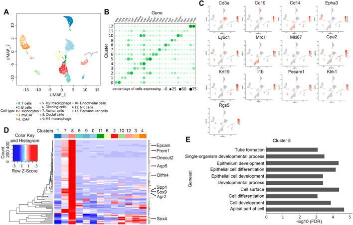 https://cdn.ncbi.nlm.nih.gov/pmc/blobs/3045/9136019/01f271bd3fe2/fcell-10-853003-g003.jpg