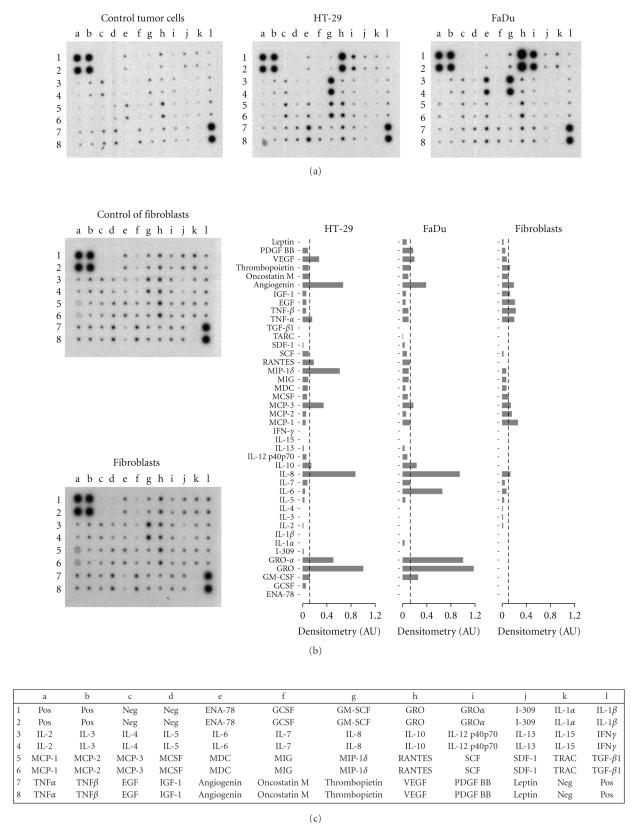 https://cdn.ncbi.nlm.nih.gov/pmc/blobs/3046/2821782/315b318b8bfc/MI2009-817498.004.jpg