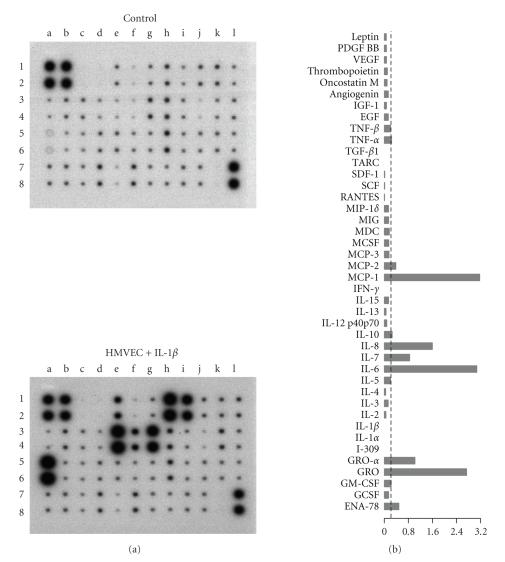 https://cdn.ncbi.nlm.nih.gov/pmc/blobs/3046/2821782/e3f1d3b862de/MI2009-817498.006.jpg