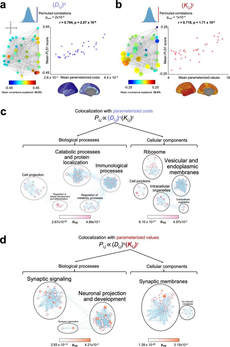https://cdn.ncbi.nlm.nih.gov/pmc/blobs/3047/8270998/be4808b50eb2/41467_2021_24430_Fig7_HTML.jpg