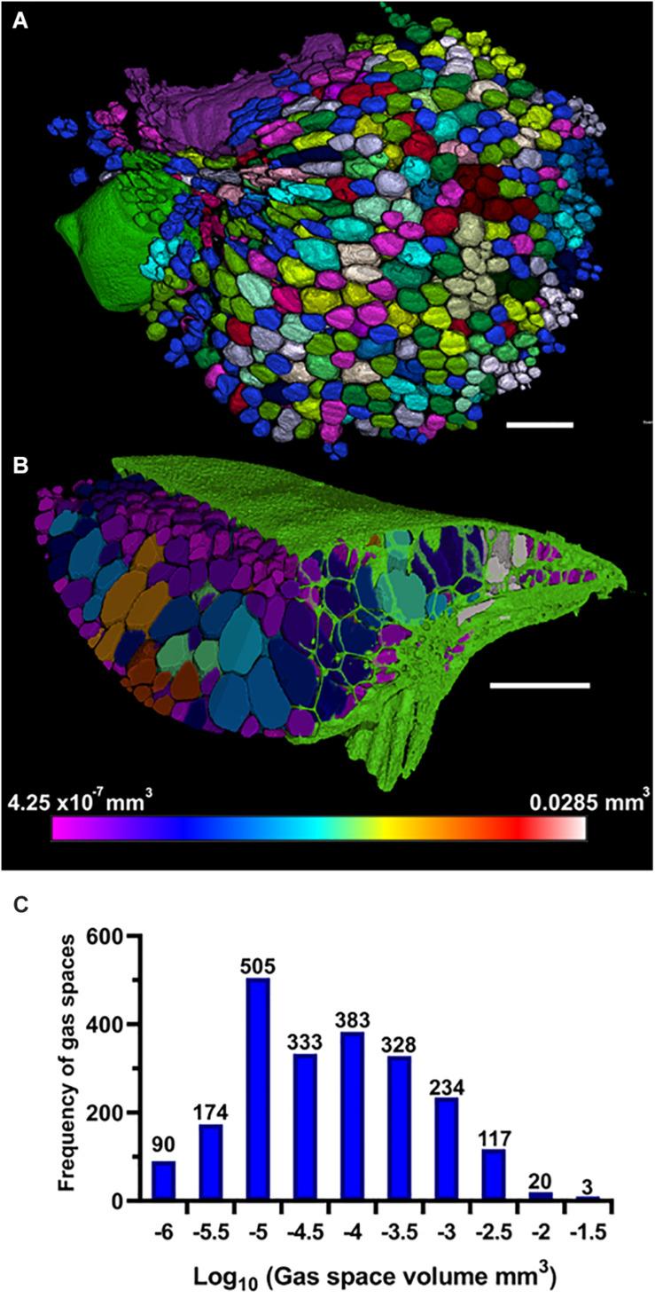 https://cdn.ncbi.nlm.nih.gov/pmc/blobs/3049/7820725/ddbb7967b9a8/fpls-11-617830-g006.jpg