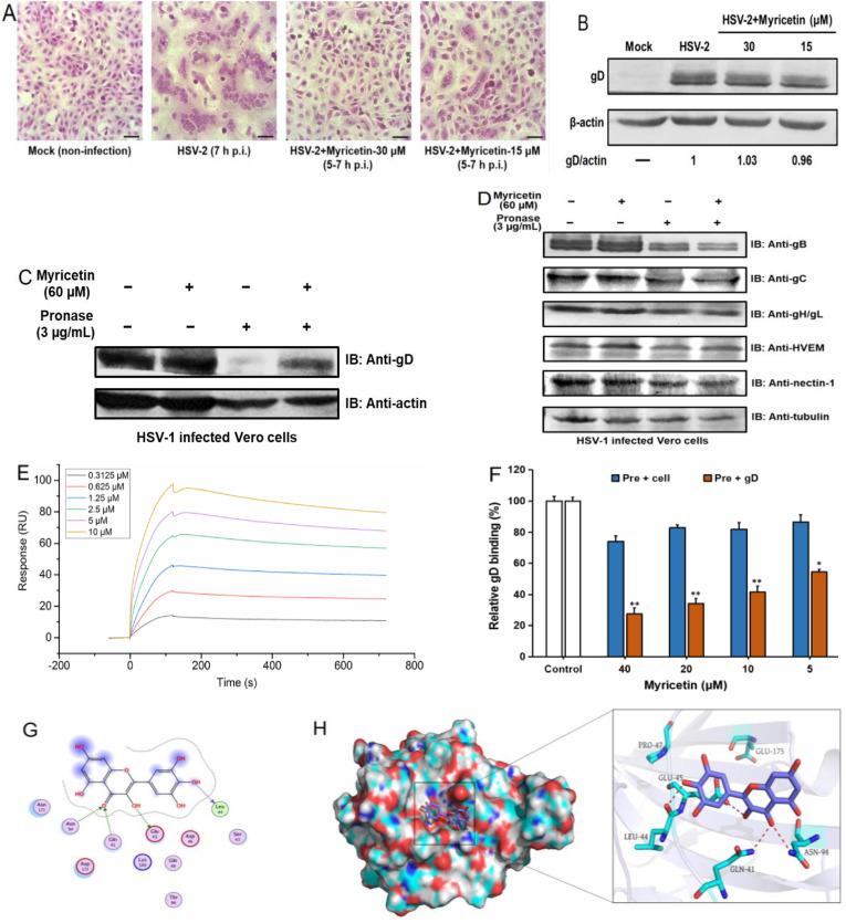 https://cdn.ncbi.nlm.nih.gov/pmc/blobs/304a/7111628/78c297e3a691/gr3_lrg.jpg