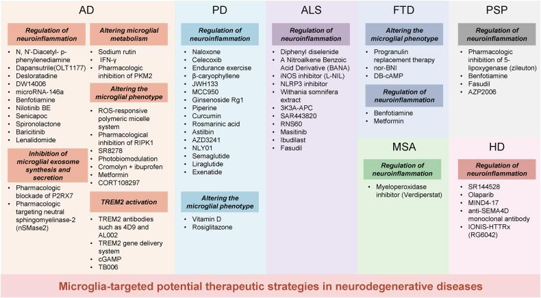 https://cdn.ncbi.nlm.nih.gov/pmc/blobs/304c/10514343/457b8dfc166e/41392_2023_1588_Fig6_HTML.jpg
