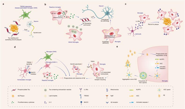 https://cdn.ncbi.nlm.nih.gov/pmc/blobs/304c/10514343/a9a846a129e1/41392_2023_1588_Fig1_HTML.jpg