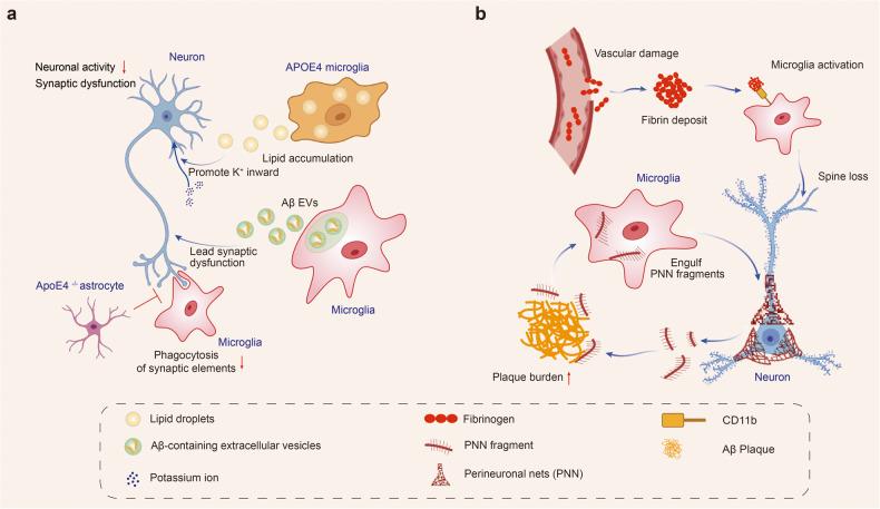https://cdn.ncbi.nlm.nih.gov/pmc/blobs/304c/10514343/bc29074d2ae5/41392_2023_1588_Fig2_HTML.jpg