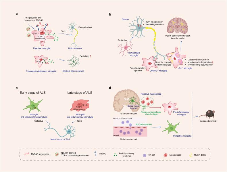 https://cdn.ncbi.nlm.nih.gov/pmc/blobs/304c/10514343/cba4d27f9799/41392_2023_1588_Fig5_HTML.jpg