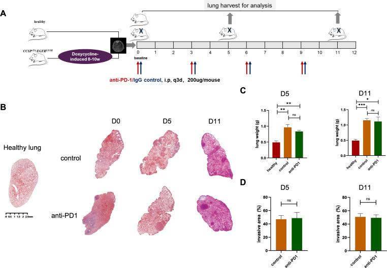 https://cdn.ncbi.nlm.nih.gov/pmc/blobs/304c/9772697/0d0127dd00ed/jitc-2022-005436f01.jpg