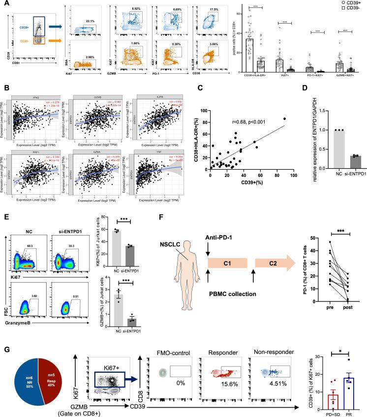 https://cdn.ncbi.nlm.nih.gov/pmc/blobs/304c/9772697/2013ab4db4dd/jitc-2022-005436f05.jpg