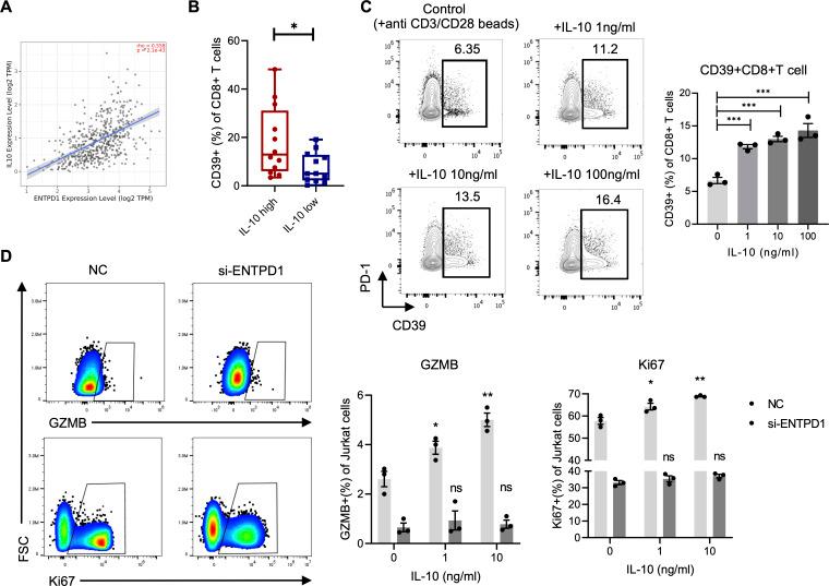 https://cdn.ncbi.nlm.nih.gov/pmc/blobs/304c/9772697/a91604e83afb/jitc-2022-005436f07.jpg
