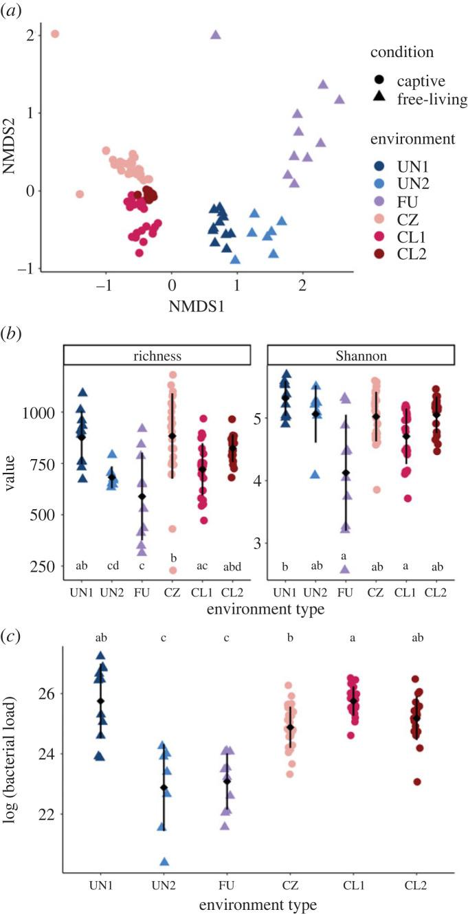 https://cdn.ncbi.nlm.nih.gov/pmc/blobs/304d/9994099/d5f9b3ca8ae6/rsbl20220547f01.jpg