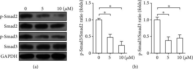 https://cdn.ncbi.nlm.nih.gov/pmc/blobs/304e/7889383/c4fb8c0b6b0b/ACP2021-8883427.005.jpg