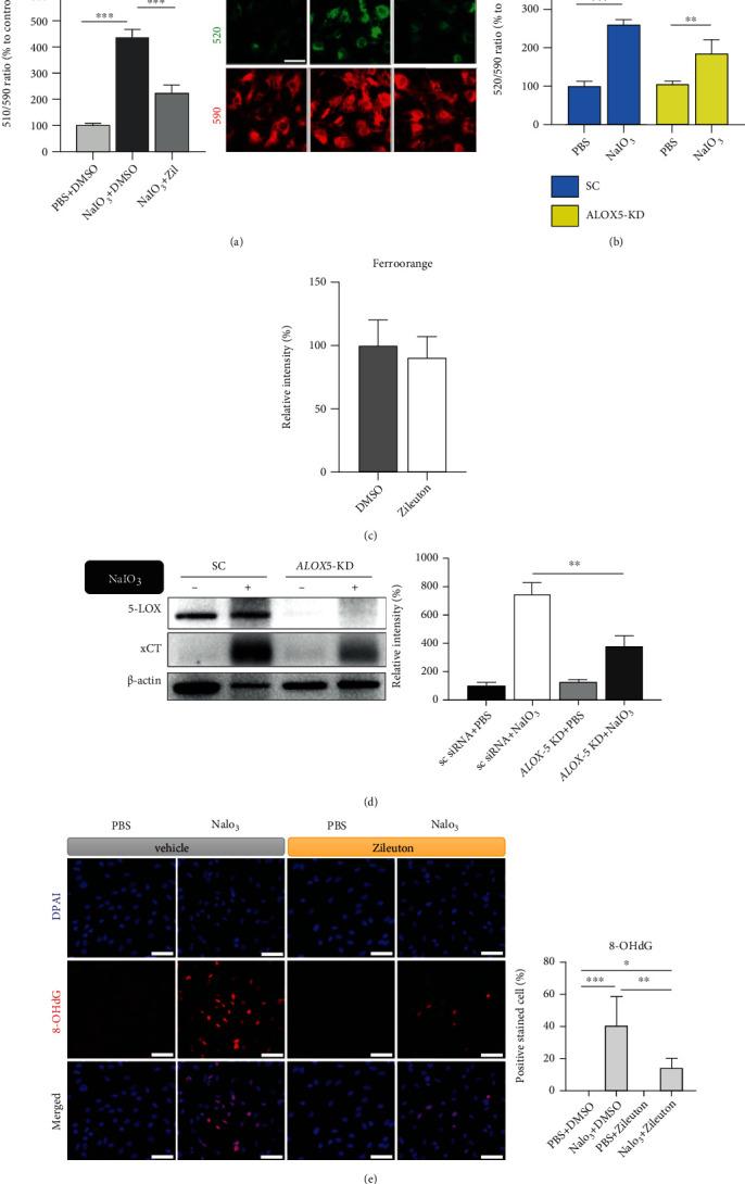 https://cdn.ncbi.nlm.nih.gov/pmc/blobs/304e/8890867/20d0188795d7/OMCL2022-1792894.004.jpg