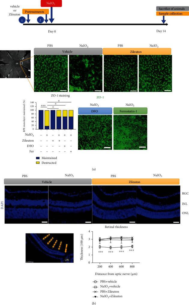 https://cdn.ncbi.nlm.nih.gov/pmc/blobs/304e/8890867/6581a84aade6/OMCL2022-1792894.009.jpg