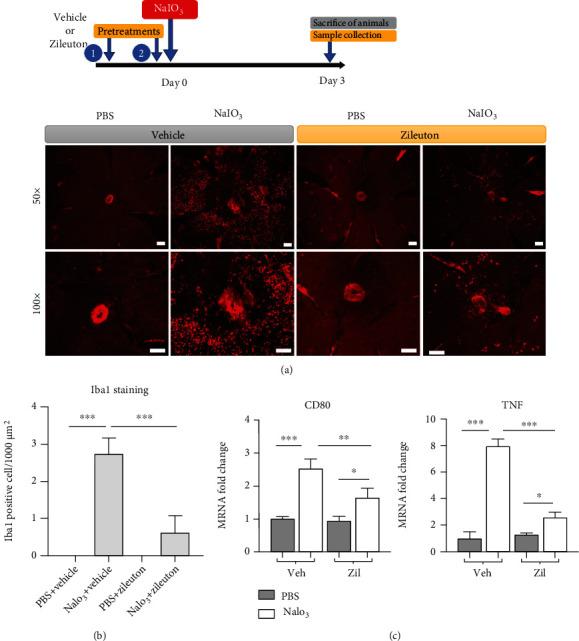 https://cdn.ncbi.nlm.nih.gov/pmc/blobs/304e/8890867/8f485971bce2/OMCL2022-1792894.008.jpg