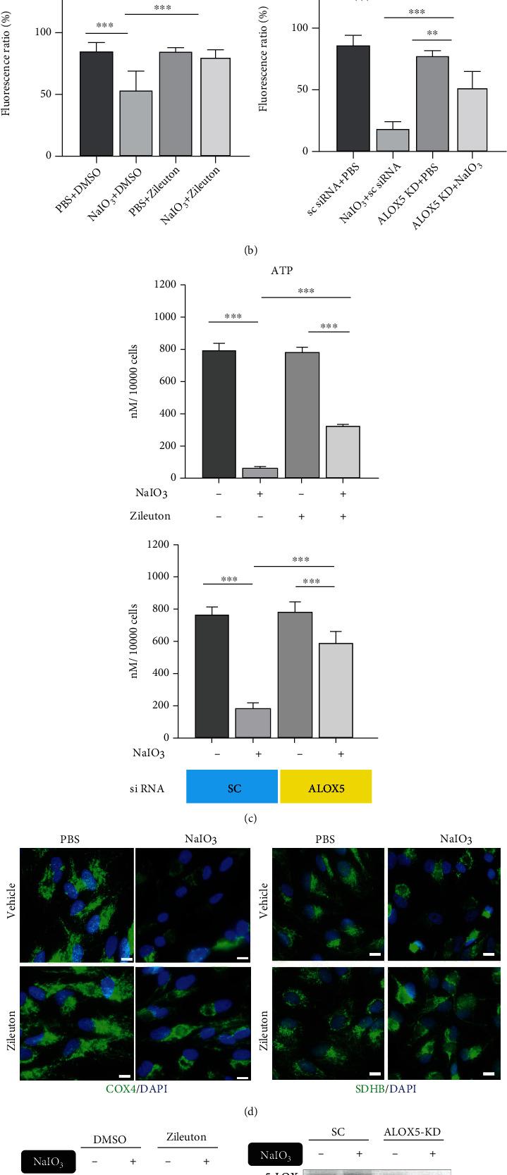 https://cdn.ncbi.nlm.nih.gov/pmc/blobs/304e/8890867/bd87e9c0c228/OMCL2022-1792894.005.jpg