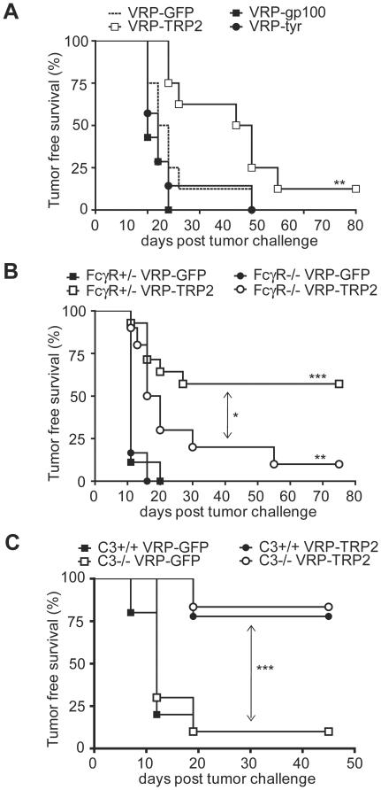 https://cdn.ncbi.nlm.nih.gov/pmc/blobs/304f/2937034/4f49bcf8b4e9/pone.0012670.g006.jpg