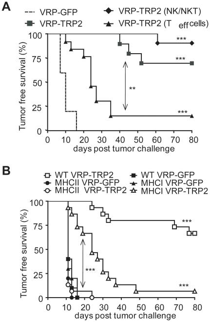 https://cdn.ncbi.nlm.nih.gov/pmc/blobs/304f/2937034/62c79ae80af1/pone.0012670.g004.jpg