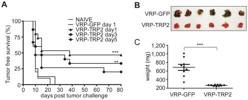 https://cdn.ncbi.nlm.nih.gov/pmc/blobs/304f/2937034/cd5cbdd377fd/pone.0012670.g002.jpg