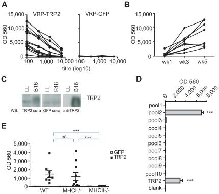 https://cdn.ncbi.nlm.nih.gov/pmc/blobs/304f/2937034/da68892bfb9c/pone.0012670.g005.jpg
